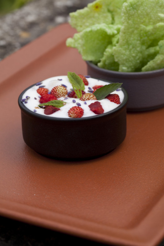 Assiette plate carré noir porcelaine vitrifiée 30,3x30,3 cm Neo Fusion Rak