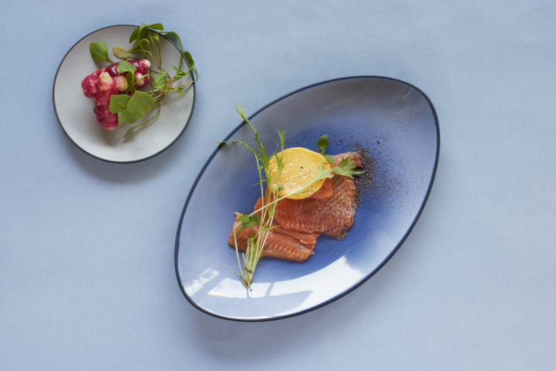 Assiette coupe plate rond bleu porcelaine culinaire Ø 21,5 cm Equinoxe Revol
