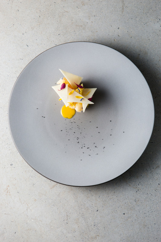 Assiette coupe plate rond gris porcelaine culinaire Ø 16 cm Equinoxe Revol