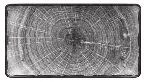 Assiette plate rectangulaire gris porcelaine vitrifiée 33,8x18,3 cm Woodart Rak