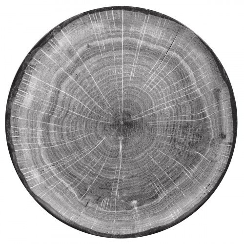 Assiette coupe plate rond beech porcelaine vitrifiée Ø 29,3 cm Woodart Rak