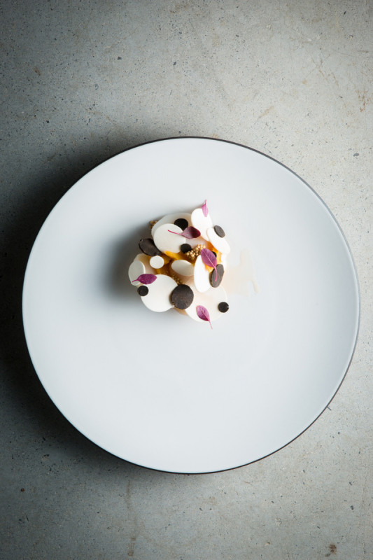 Assiette coupe plate rond blanc porcelaine culinaire Ø 26 cm Equinoxe Revol