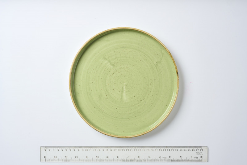 Assiette à bord droit rond Sage Green porcelaine vitrifiée Ø 26 cm Stonecast Sage Churchill
